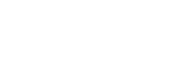BHJ Security